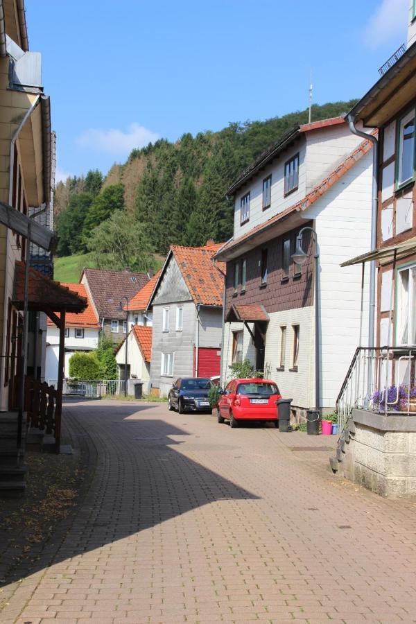 Haus Hirtenbergblick Lonau Dış mekan fotoğraf