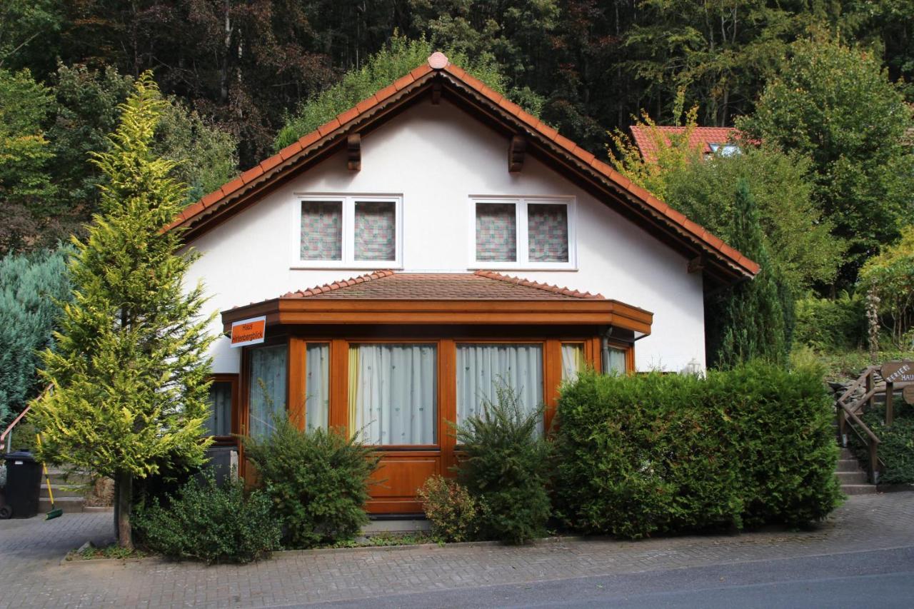 Haus Hirtenbergblick Lonau Dış mekan fotoğraf